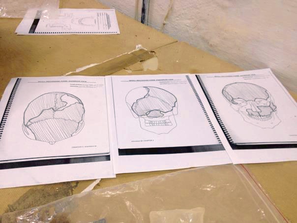 Archaeology – An&nbsp;Overview