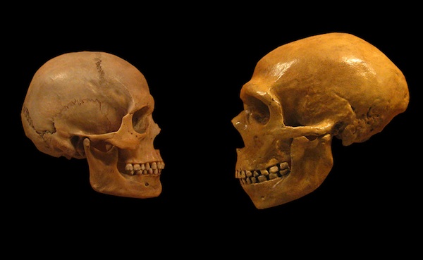 Who were the&nbsp;Neanderthals?