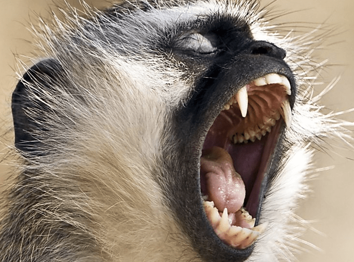 Screen Shot 2017-03-06 at 7.48.35 PM