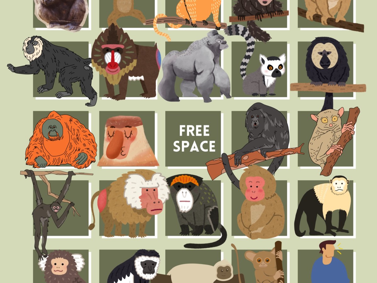 Free Resource: Primatology&nbsp;Bingo!
