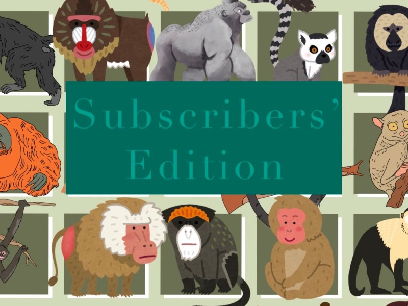 Primatology Bingo! Subscribers’&nbsp;Edition