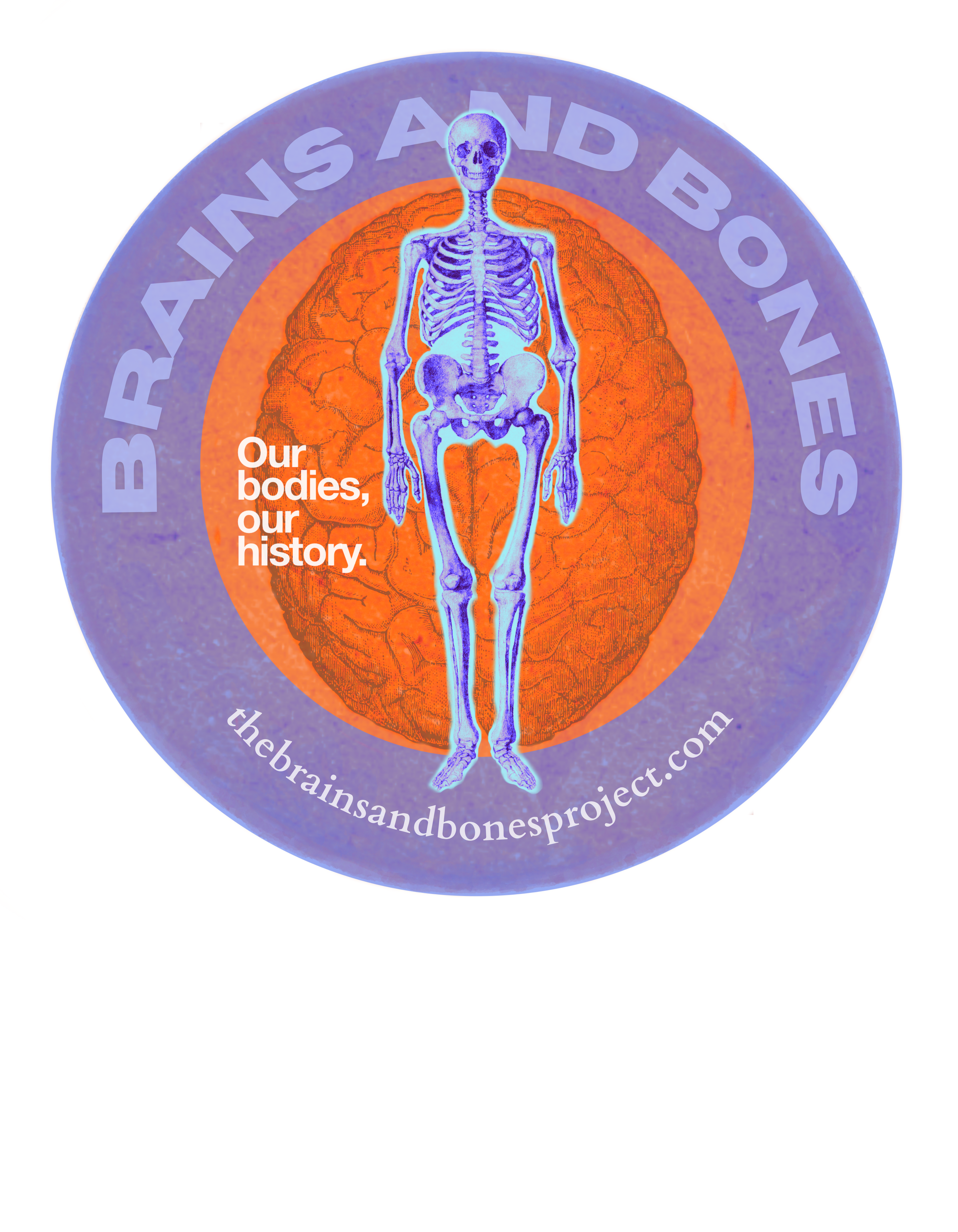 The Brains and Bones Project