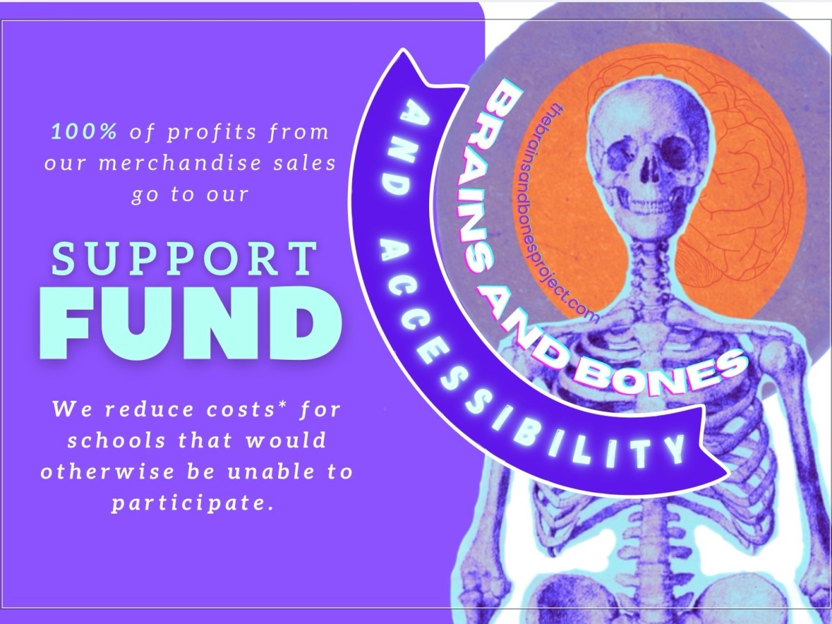 Introducing the SUPPORT&nbsp;FUND