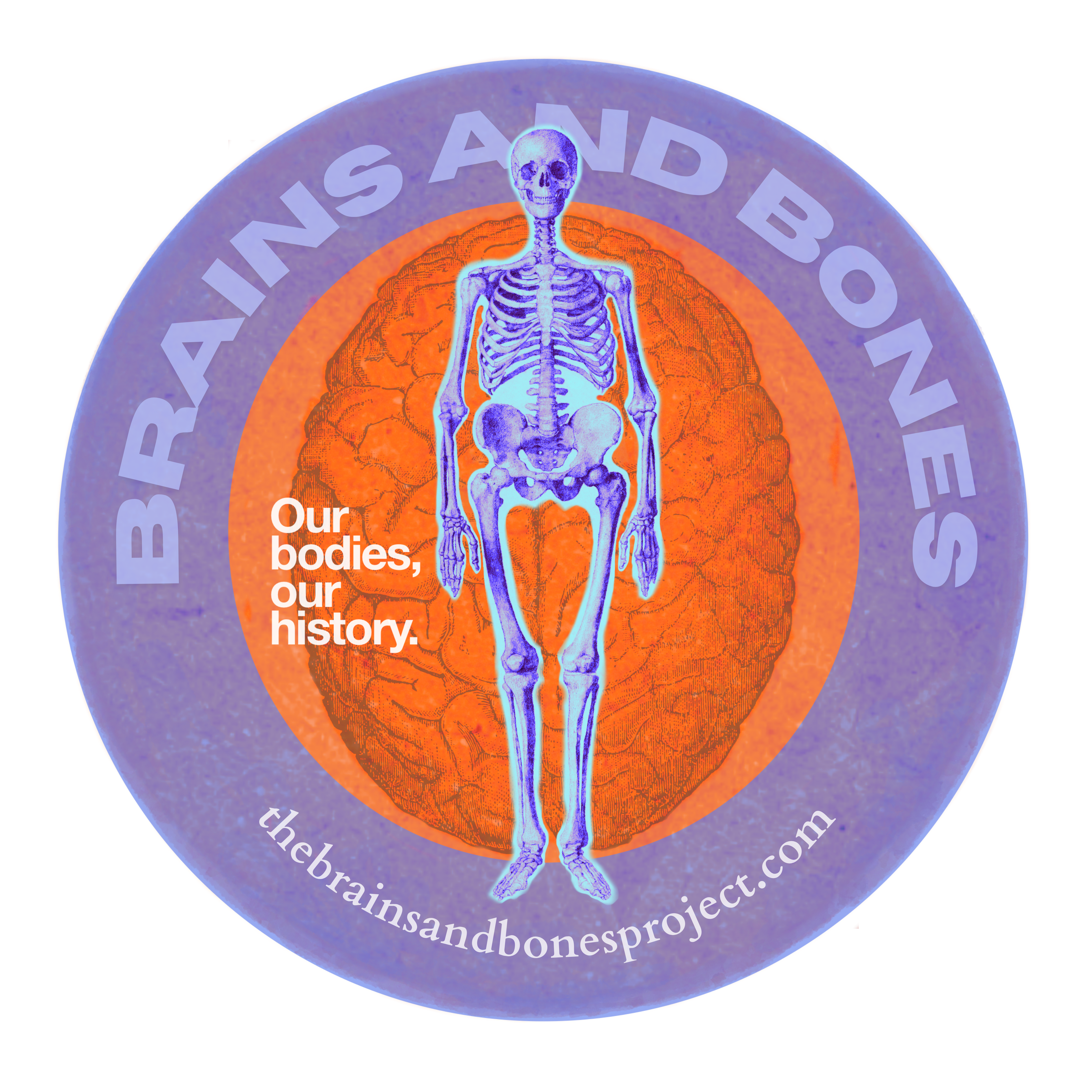 The Brains and Bones Project