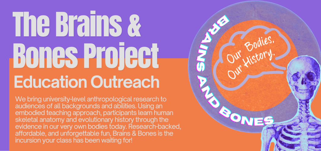 The Brains & Bones Project, Education Outreach. We bring university-level anthropological research to audiences of all backgrounds and abilities. Using an embodied teaching approach, participants learn human skeletal anatomy and evolutionary history through the evidence in our very own bodies today. Research-backed, affordable, and unforgettable fun, Brains & Bones is the incursion your class has been waiting for! 

A blue and purple skeleton is featured to the right saying “Our bodies, our history” in a brain-shaped speech bubble. “Brains and Bones” appears in bright, curved text beside it.  